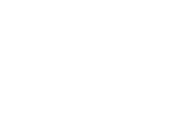 Castor